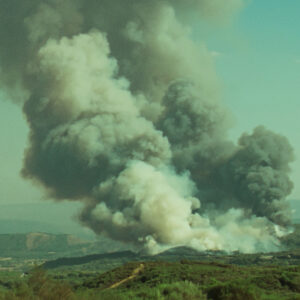 O que arde, de Oliver Laxe