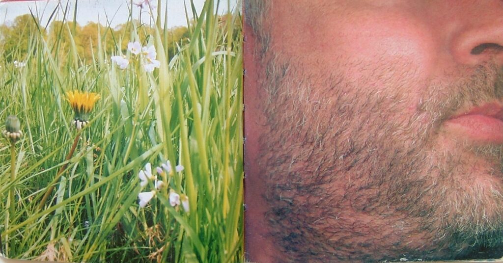 Fotolibros mudos para niños