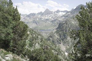 Eduardo Marco Miranda