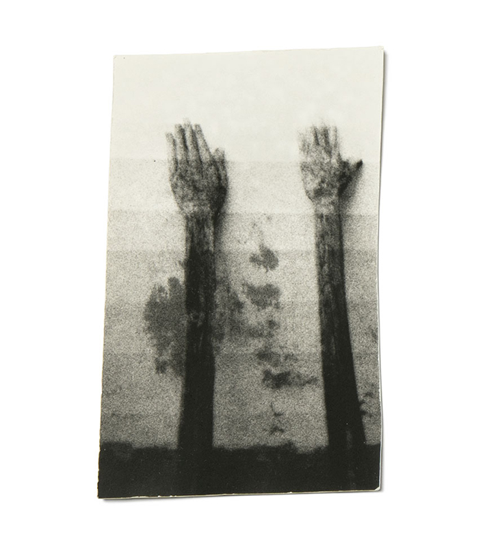 Gael del Río y Luca Ban